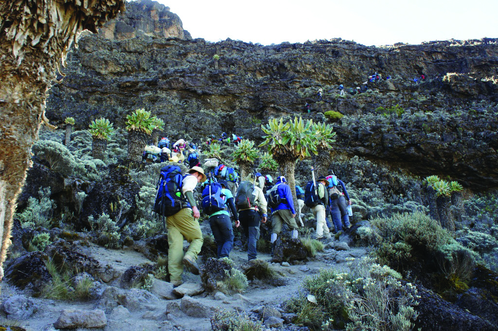 Hikers climbing up Mt. Kilimanjaro